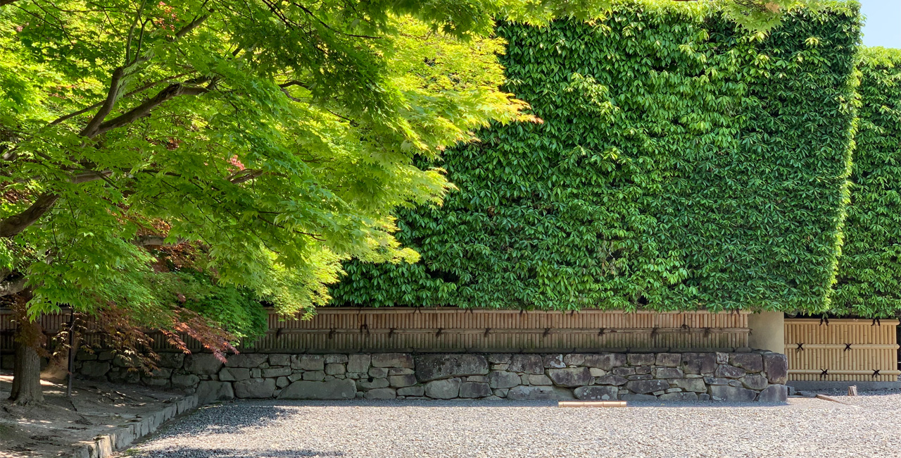 夏の銀閣寺垣の写真(滋賀県東近江市)